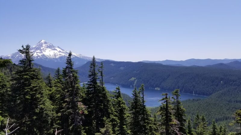 Mount Hood National Forest - Sandy, OR
