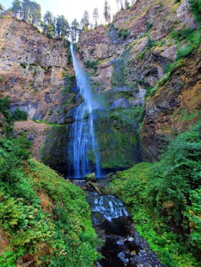 Mount Hood National Forest - Sandy, OR