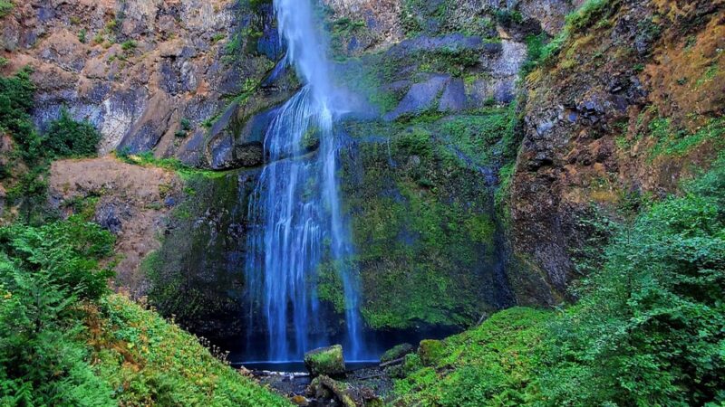 Mount Hood National Forest - Sandy, OR