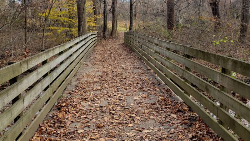 Northwest Branch Stream Valley Park - Sandy Spring, MD
