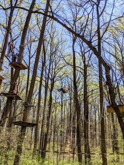 The Adventure Park at Sandy Spring - Sandy Spring, MD