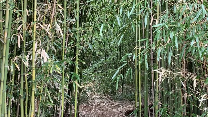 The Underground Railroad Experience Trail - Sandy Spring, MD
