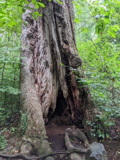 The Underground Railroad Experience Trail - Sandy Spring, MD