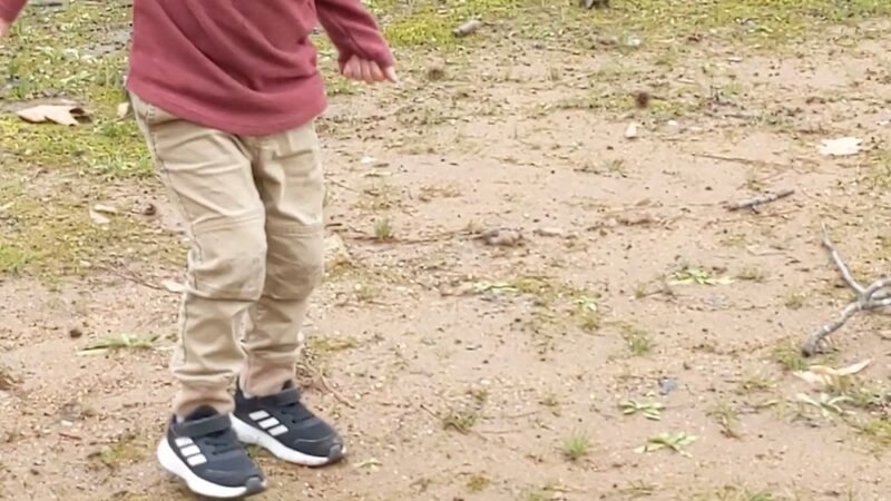 Allen Road Park - Sandy Springs, GA