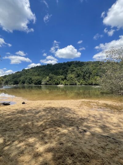 Bamboo Forest - Sandy Springs, GA