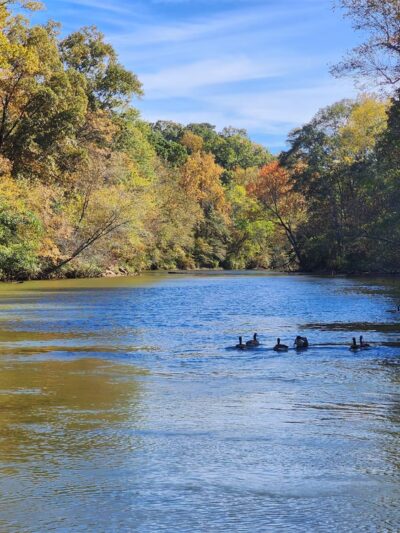 Island Ford Unit, Chattahoochee River National Recreation Area - Sandy Springs, GA