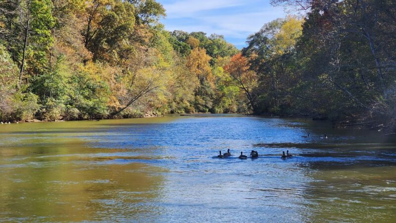 Island Ford Unit, Chattahoochee River National Recreation Area - Sandy Springs, GA