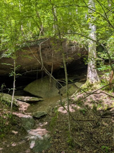 Island Ford Unit, Chattahoochee River National Recreation Area - Sandy Springs, GA