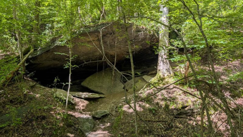 Island Ford Unit, Chattahoochee River National Recreation Area - Sandy Springs, GA