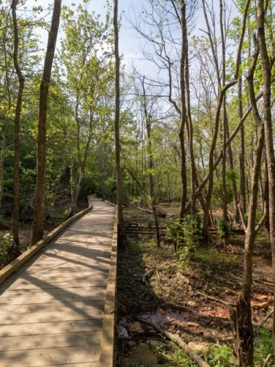 Island Ford Unit, Chattahoochee River National Recreation Area - Sandy Springs, GA