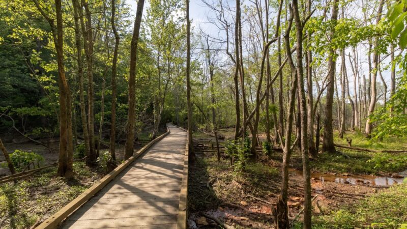 Island Ford Unit, Chattahoochee River National Recreation Area - Sandy Springs, GA