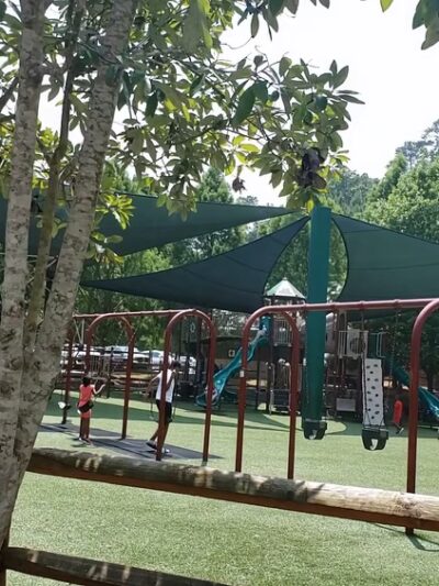 Morgan Falls Overlook Park - Sandy Springs, GA