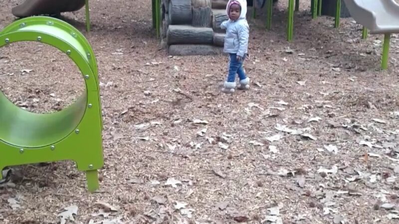 Ridgeview Park - Sandy Springs, GA