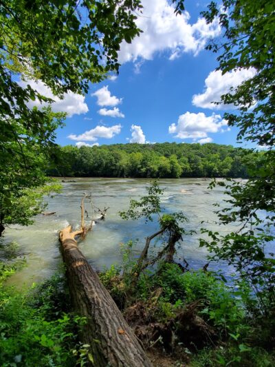 Sandy Springs Trail - Sandy Springs, GA