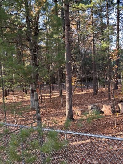West Side Dog Park - Sanford, MI