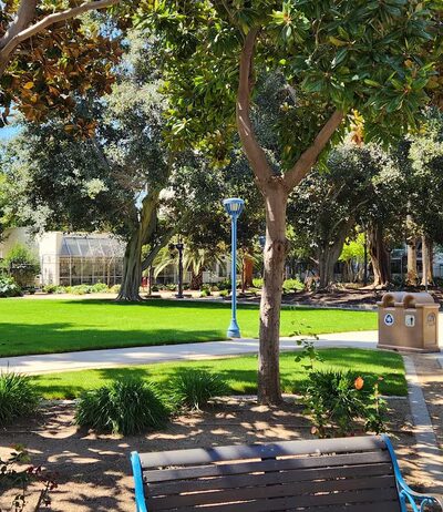 Birch Park - Santa Ana, CA