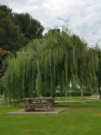 Lillie King Park - Santa Ana, CA