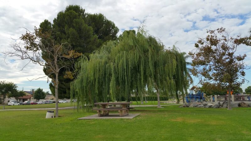 Lillie King Park - Santa Ana, CA