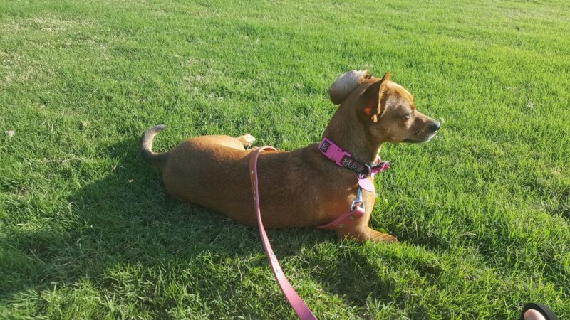 Mabury Park - Santa Ana, CA