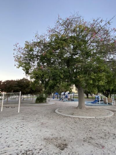 Madison Park - Santa Ana, CA