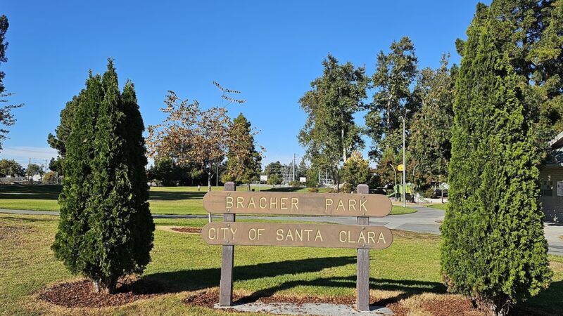 Bracher Park - Santa Clara, CA