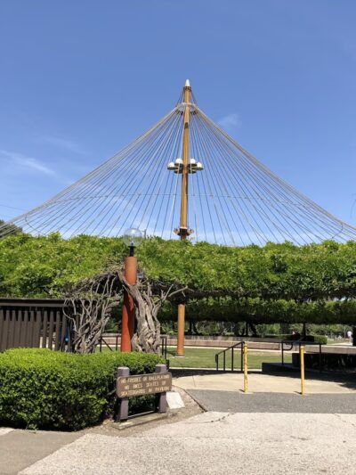 Central Park - Santa Clara, CA