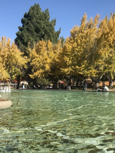 Civic Center Park - Santa Clara, CA
