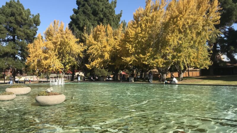 Civic Center Park - Santa Clara, CA