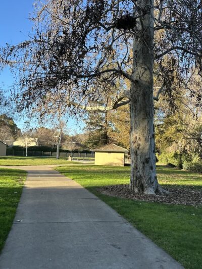 Earl R. Carmichael Park - Santa Clara, CA