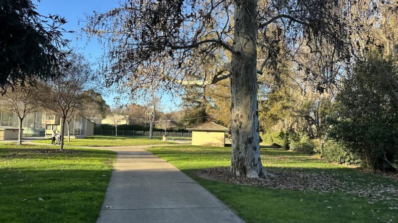 Earl R. Carmichael Park - Santa Clara, CA