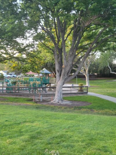 Everett Alvarez Junior Park - Santa Clara, CA