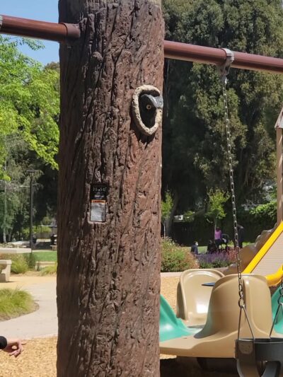 Homeridge Park - Santa Clara, CA