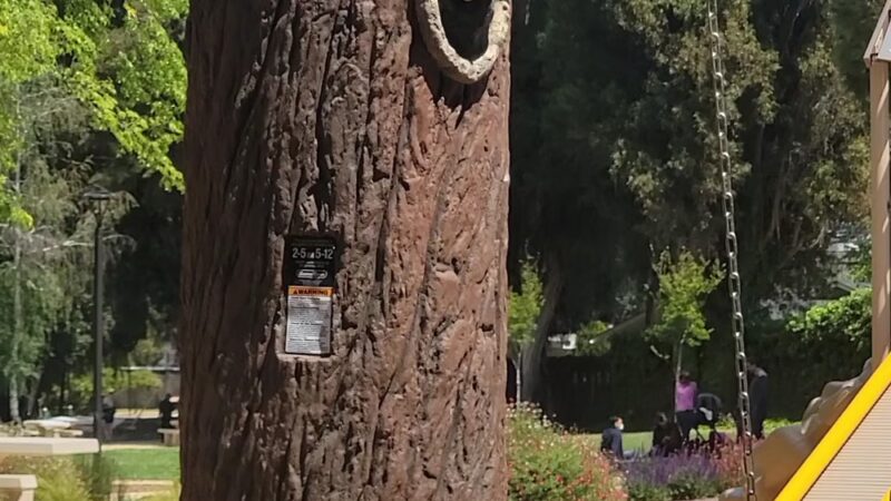 Homeridge Park - Santa Clara, CA