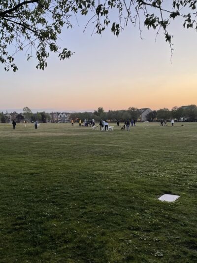 Live Oak Park - Santa Clara, CA