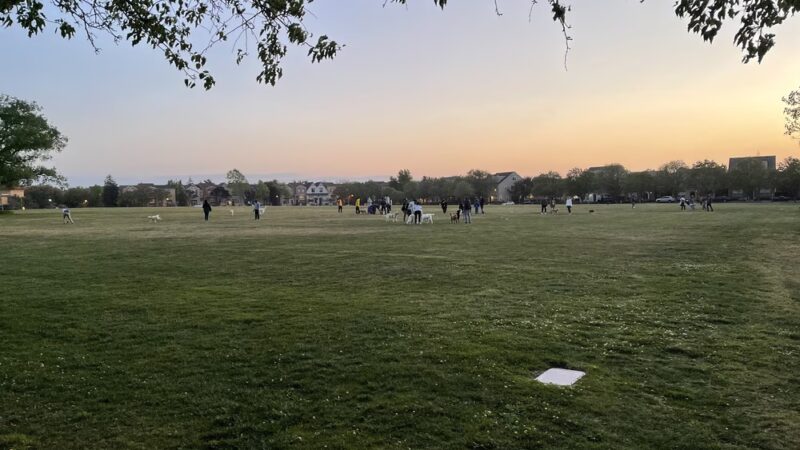 Live Oak Park - Santa Clara, CA