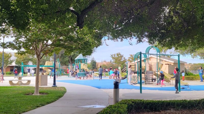 Live Oak Park - Santa Clara, CA