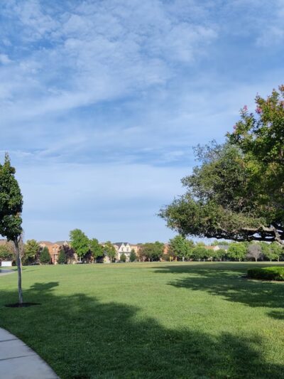 Live Oak Park - Santa Clara, CA