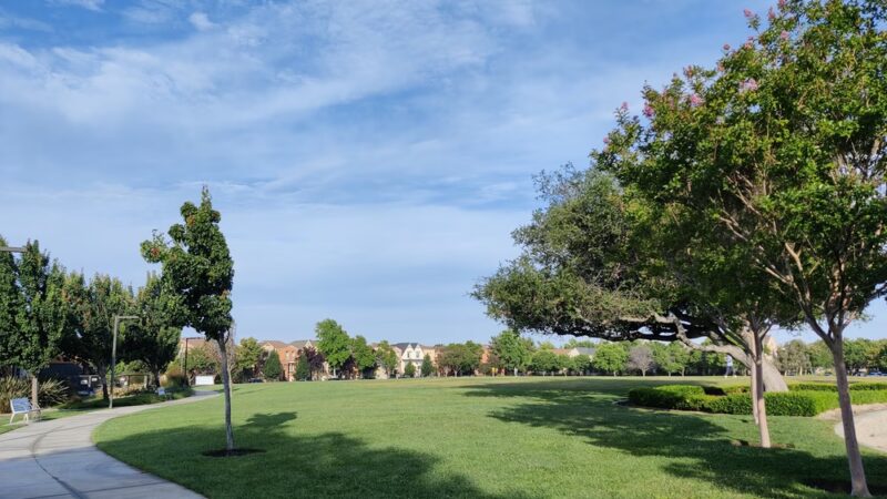 Live Oak Park - Santa Clara, CA