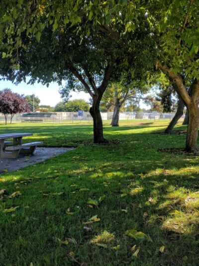 Machado Park - Santa Clara, CA