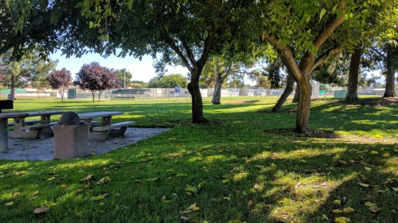 Machado Park - Santa Clara, CA