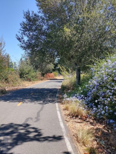 San Tomas Aquino Creek Trailhead - Santa Clara, CA