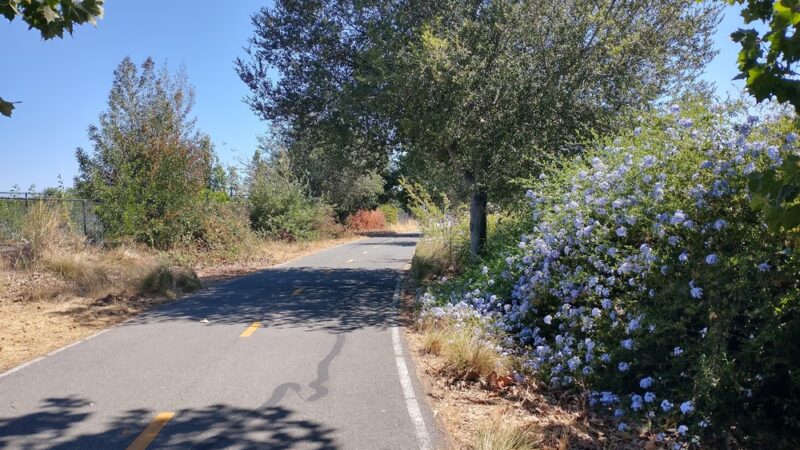San Tomas Aquino Creek Trailhead - Santa Clara, CA
