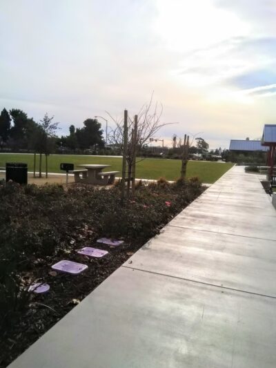 San Tomas Aquino Creek Trailhead - Santa Clara, CA