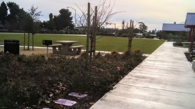 San Tomas Aquino Creek Trailhead - Santa Clara, CA