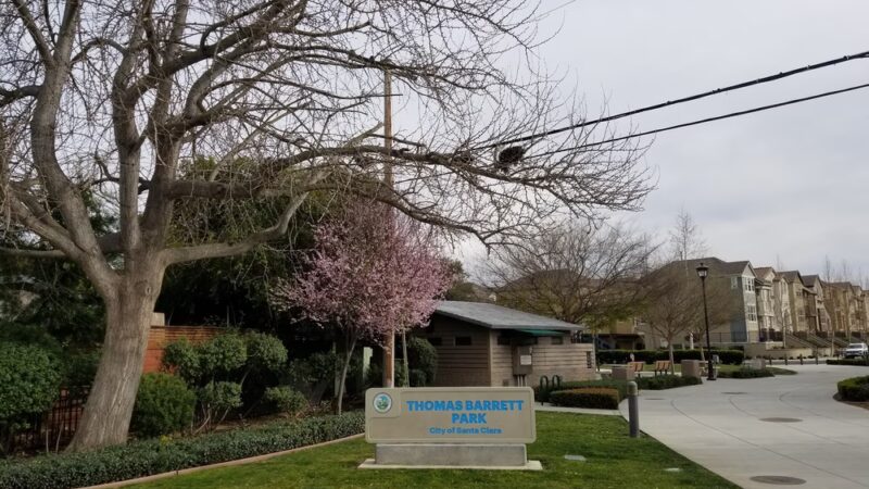 Thomas Barrett Park - Santa Clara, CA