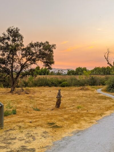 Ulistac Natural Area - Santa Clara, CA