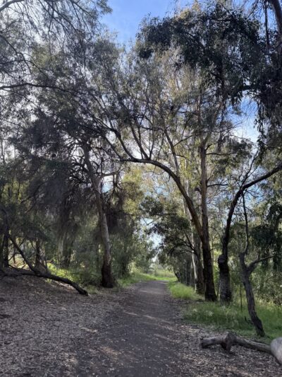 Ulistac Natural Area - Santa Clara, CA