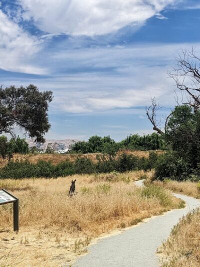 Ulistac Natural Area - Santa Clara, CA