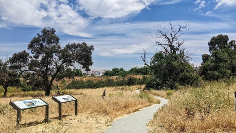 Ulistac Natural Area - Santa Clara, CA