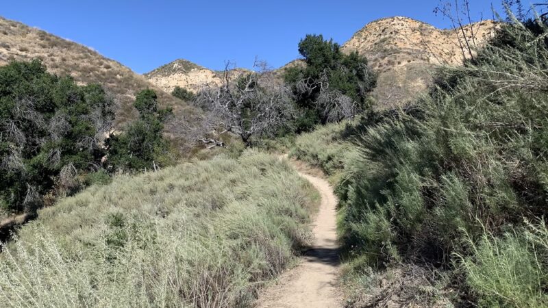 Golden Valley Ranch Open Space - Santa Clarita, CA
